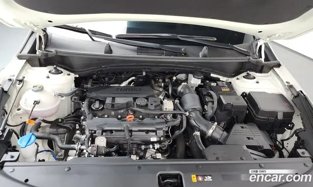 Kia Sportage 2025 1.6 автомат (гидро), миниатюра 5 Kia Sportage 2025 1.6 автомат (гидро), миниатюра 5