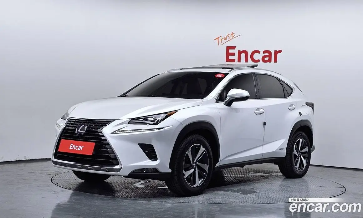 Lexus NX 2019 2.5 автомат (гидро), фото 1 Lexus NX 2019 2.5 автомат (гидро), фото 1
