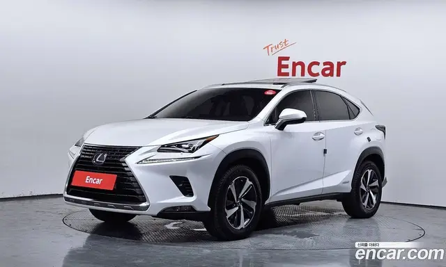 Lexus NX, 2019, 79 109 км
