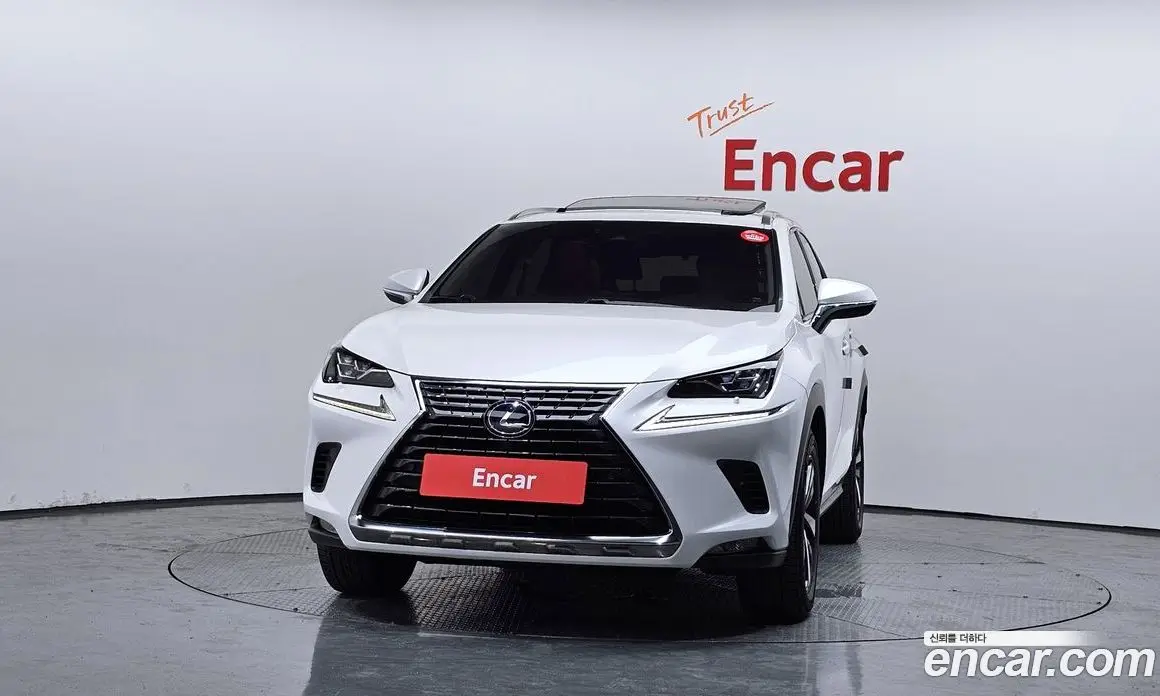 Lexus NX 2019 2.5 автомат (гидро), фото 3 Lexus NX 2019 2.5 автомат (гидро), фото 3