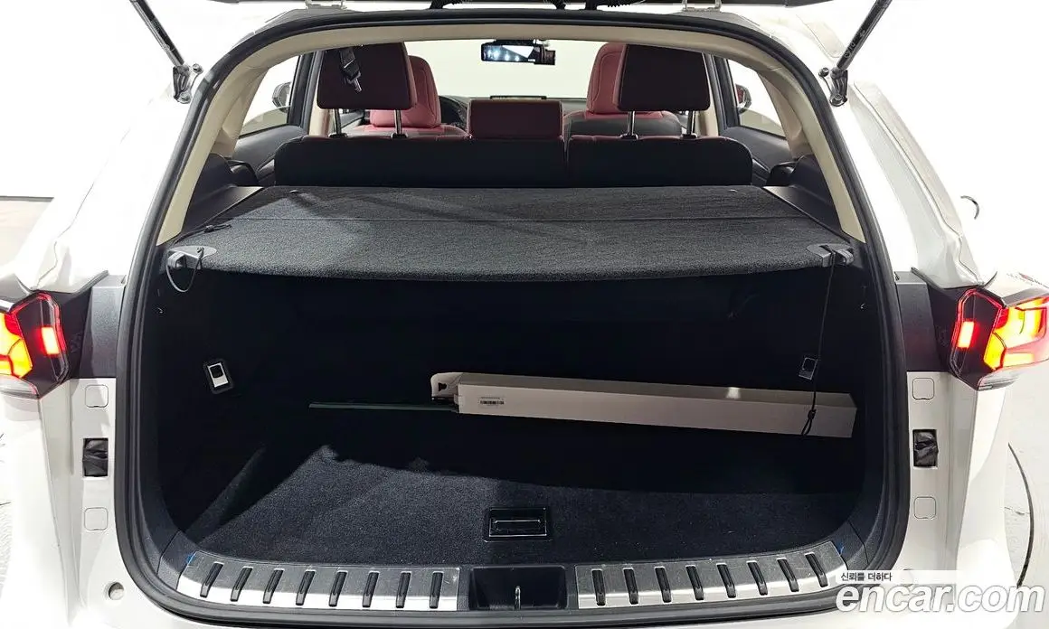 Lexus NX 2019 2.5 автомат (гидро), фото 22 Lexus NX 2019 2.5 автомат (гидро), фото 22