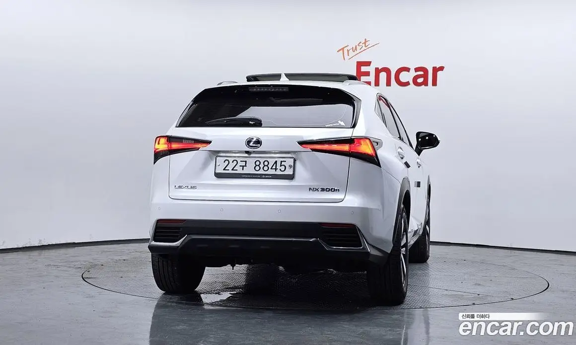 Lexus NX 2019 2.5 автомат (гидро), фото 4 Lexus NX 2019 2.5 автомат (гидро), фото 4