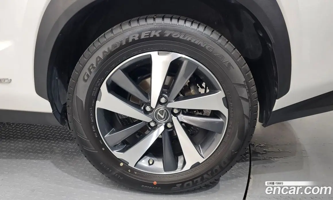 Lexus NX 2019 2.5 автомат (гидро), фото 7 Lexus NX 2019 2.5 автомат (гидро), фото 7