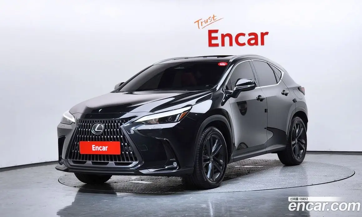Lexus NX 2025 2.5 автомат (гидро), фото 1 Lexus NX 2025 2.5 автомат (гидро), фото 1