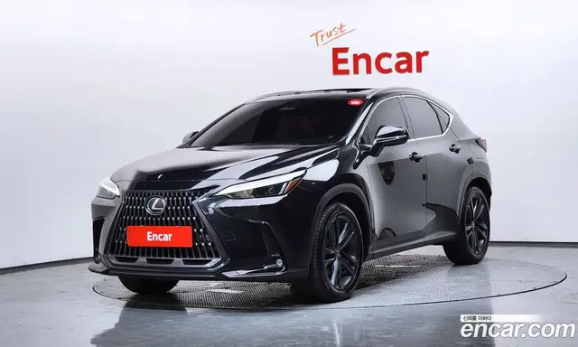 Lexus NX 2025 2.5 автомат (гидро), миниатюра 1 Lexus NX 2025 2.5 автомат (гидро), миниатюра 1