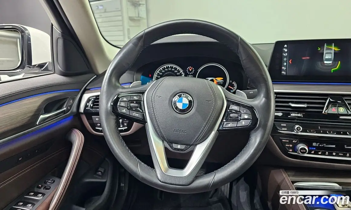 BMW 5 серия 2018 2.0 автомат (гидро), фото 20 BMW 5 серия 2018 2.0 автомат (гидро), фото 20