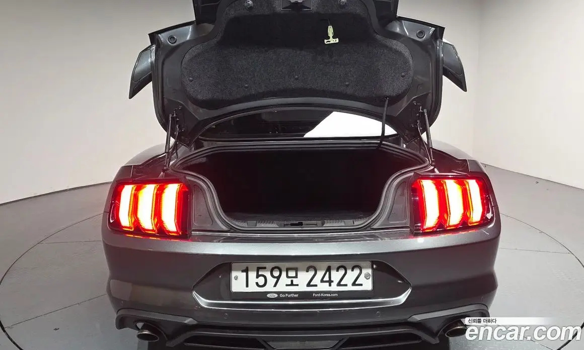 Ford Mustang 2019 2.3 автомат (гидро), фото 25 Ford Mustang 2019 2.3 автомат (гидро), фото 25