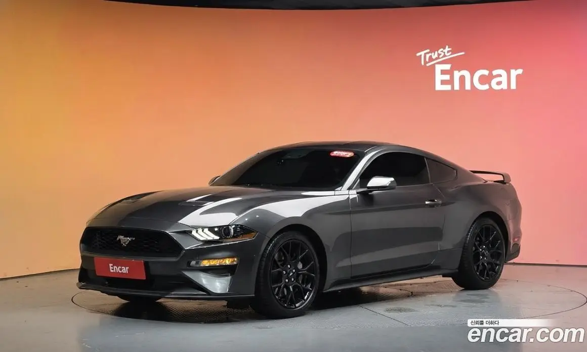 Ford Mustang 2019 2.3 автомат (гидро), фото 32 Ford Mustang 2019 2.3 автомат (гидро), фото 32