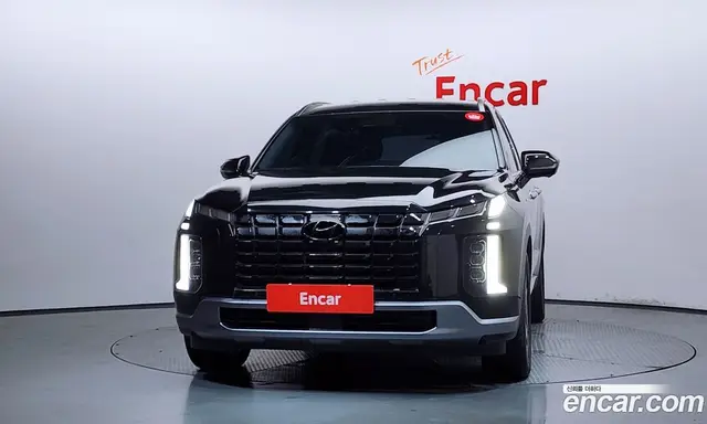 Hyundai Palisade 2024 2.2 автомат (гидро), миниатюра 3