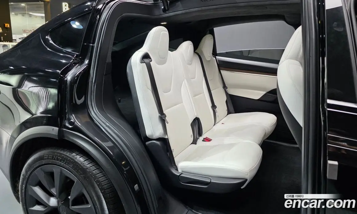 Tesla Model X 2023 0.3 автомат (гидро), фото 12 Tesla Model X 2023 0.3 автомат (гидро), фото 12