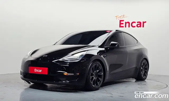 Tesla Model Y 2022 0.2 автомат (гидро), миниатюра 1