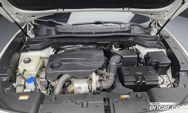 SsangYong Torres 2023 1.5 автомат (гидро), миниатюра 6 SsangYong Torres 2023 1.5 автомат (гидро), миниатюра 6