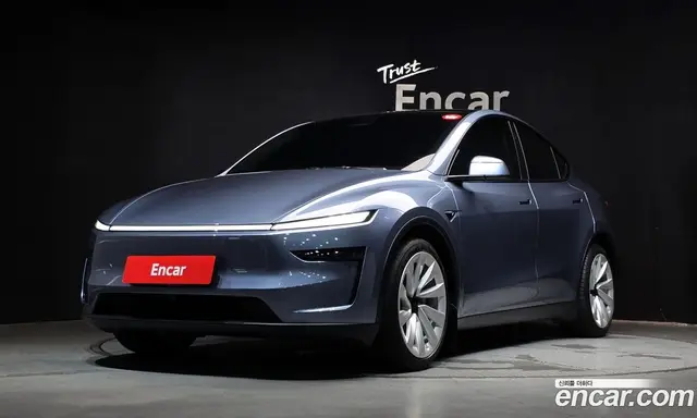Tesla Model Y, 2025, 46 616 км
