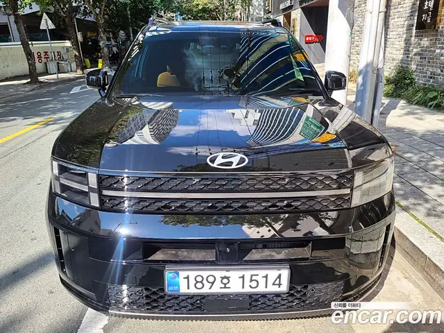 Hyundai Santa Fe, 2024, 4 800 км