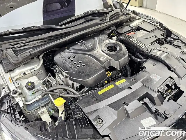 Renault (Samsung) SM6 2016 2.0 автомат (гидро), миниатюра 6