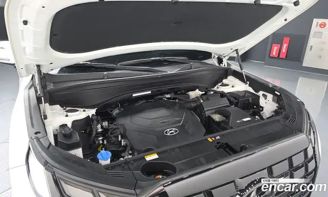 Hyundai Palisade 2022 3.8 автомат (гидро), миниатюра 6