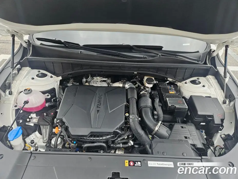 Kia Sorento 2025 2.5 автомат (гидро), фото 6