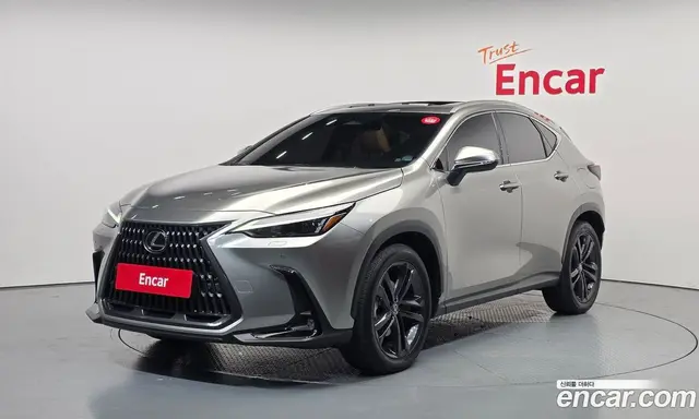 Lexus NX, 2025, 21 982 км