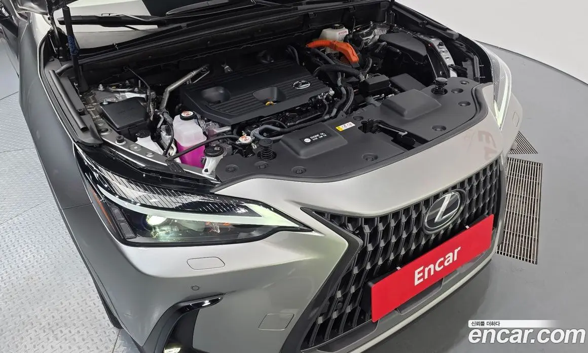 Lexus NX 2025 2.5 автомат (гидро), фото 6