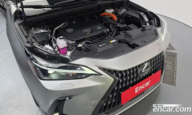 Lexus NX 2025 2.5 автомат (гидро), миниатюра 6
