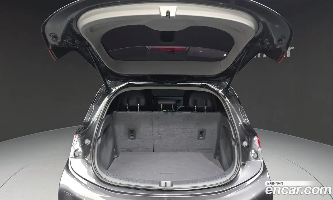 Chevrolet Bolt EV 2019 0.2 автомат (гидро), фото 20
