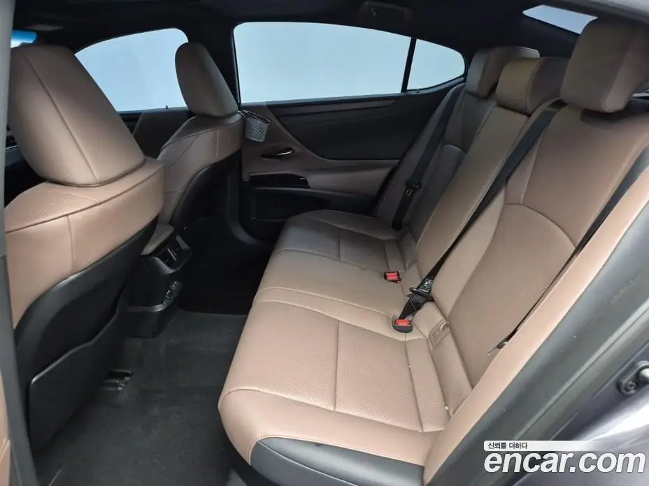 Lexus ES 2024 2.5 автомат (гидро), фото 12