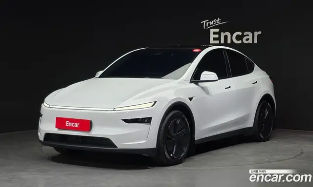 Tesla Model Y, 2025, 12 198 км