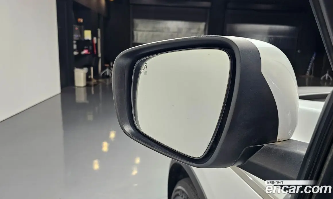 Renault (Samsung) QM6 2019 1.7 автомат (гидро), фото 31