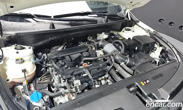 Kia Sportage 2021 1.6 автомат (гидро), миниатюра 5