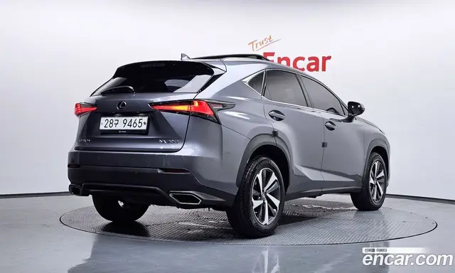 Lexus NX 2018 2.0 автомат (гидро), миниатюра 2