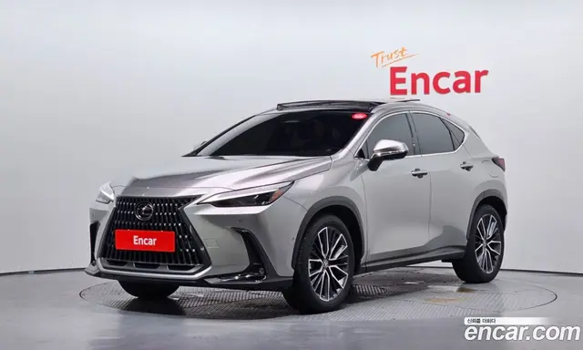 Lexus NX, 2024, 17 685 км