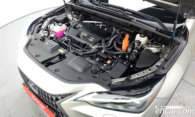 Lexus NX 2024 2.5 автомат (гидро), миниатюра 6