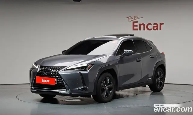 Lexus UX, 2019, 49 354 км