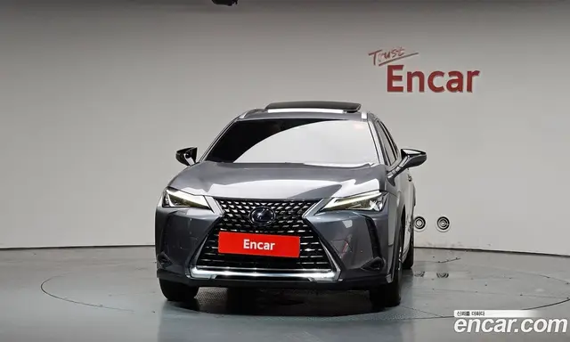 Lexus UX 2019 2.0 автомат (гидро), миниатюра 3