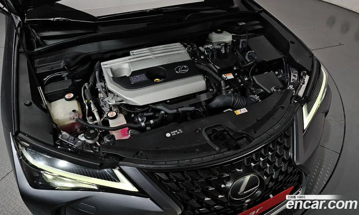 Lexus UX 2019 2.0 автомат (гидро), фото 6