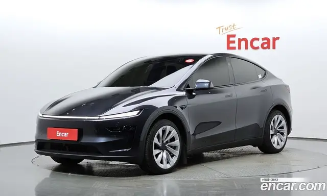 Tesla Model Y, 2025, 43 768 км