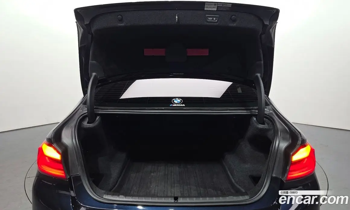 BMW 5 серия 2017 2.0 автомат (гидро), фото 24