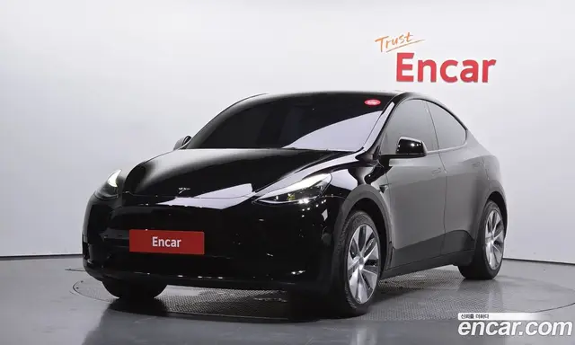 Tesla Model Y, 2023, 39 190 км