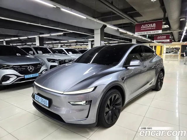 Tesla Model Y, 2025, 17 232 км
