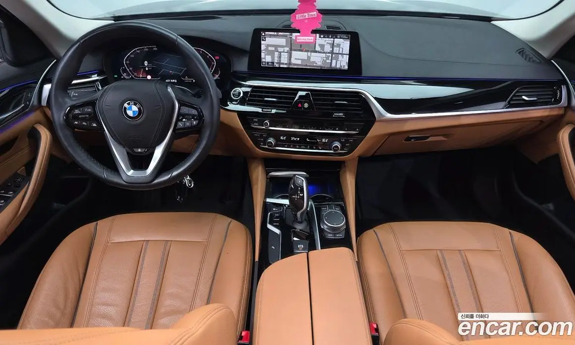 BMW 5 серия 2020 2.0 автомат (гидро), фото 10