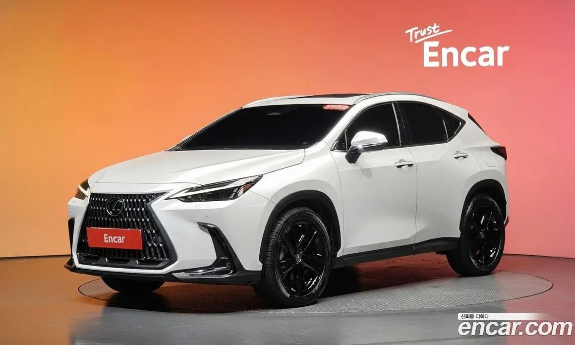 Lexus NX 2022 2.5 автомат (гидро), фото 32