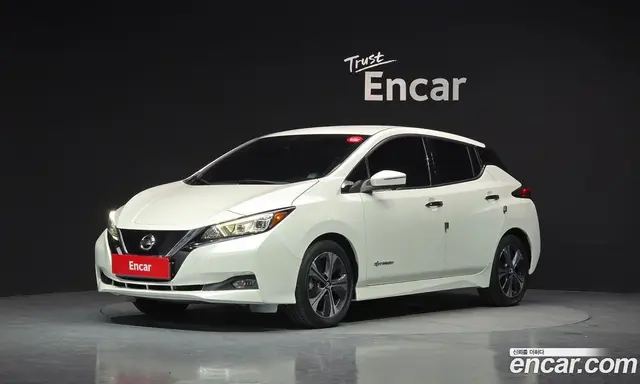 Nissan Leaf, 2019, 89 949 км