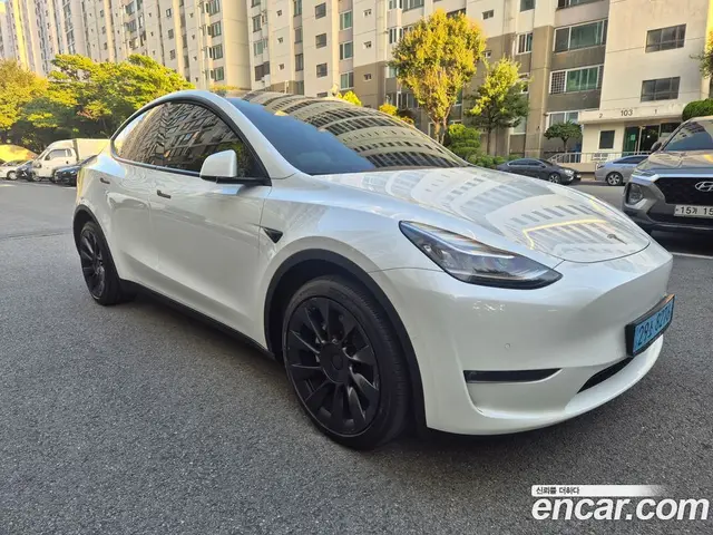Tesla Model Y, 2022, 79 794 км