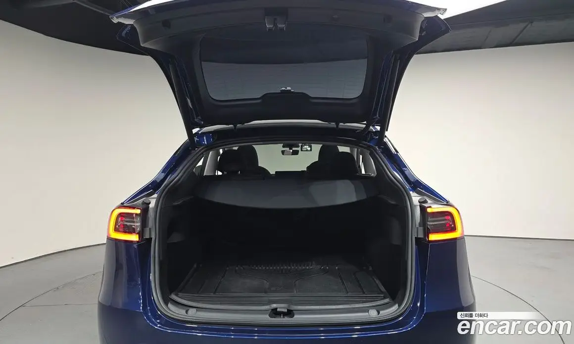 Tesla Model Y 2023 0.2 автомат (гидро), фото 25
