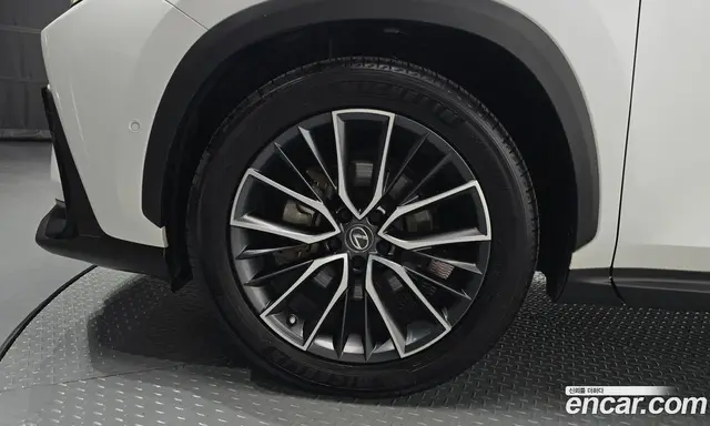Lexus NX 2023 2.5 автомат (гидро), миниатюра 5