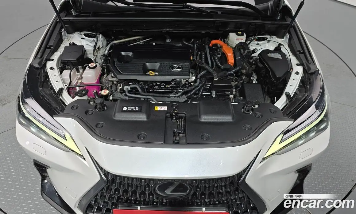 Lexus NX 2023 2.5 автомат (гидро), фото 6