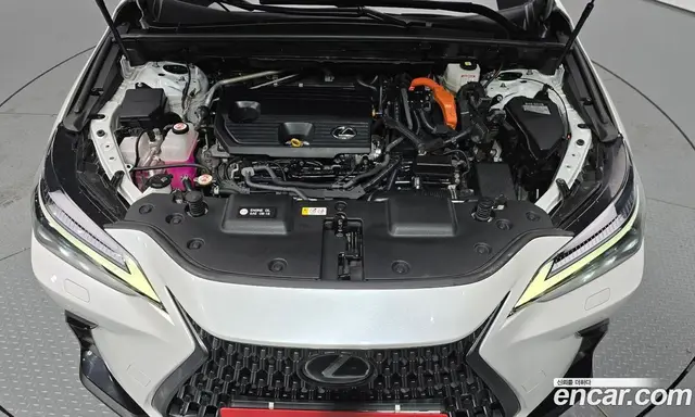 Lexus NX 2023 2.5 автомат (гидро), миниатюра 6