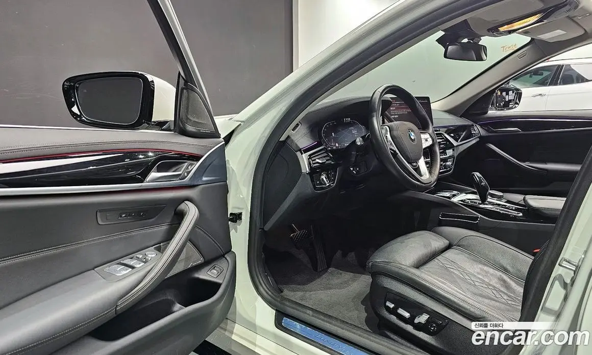 BMW 5 серия 2021 2.0 автомат (гидро), фото 11 BMW 5 серия 2021 2.0 автомат (гидро), фото 11