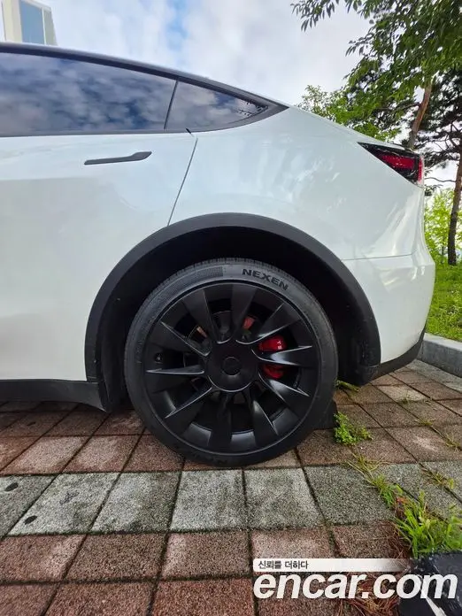 Tesla Model Y 2022 автомат (гидро), фото 13