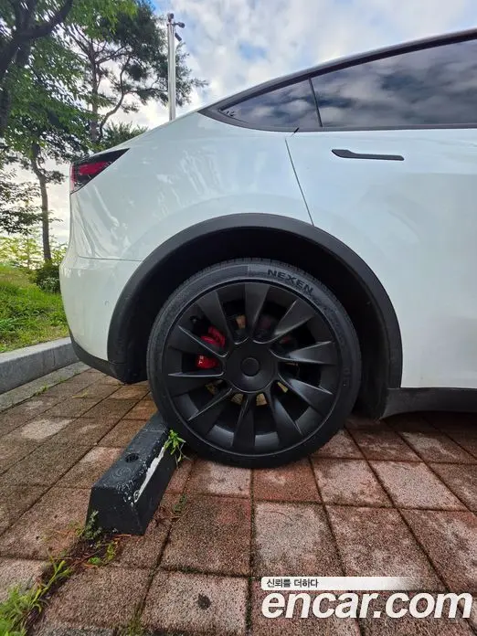 Tesla Model Y 2022 автомат (гидро), фото 14